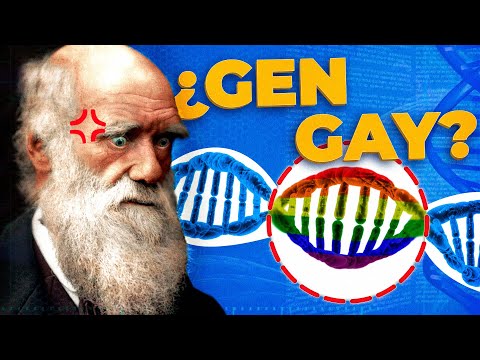 ¿Qué sentido evolutivo tiene la homosexualidad?