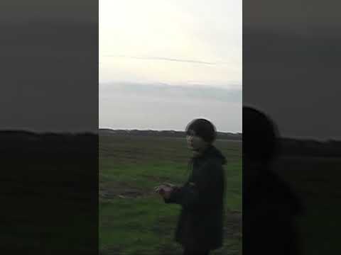 Площа Устриць - Дикий Схід #українськамузика #шугейз