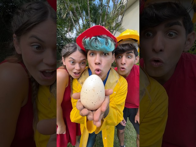 ACHAMOS O MAIOR OVO DE DINOSSAURO
