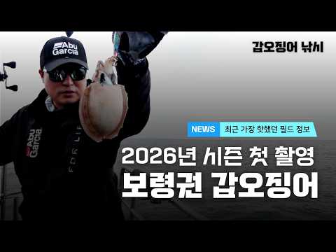 갑오징어낚시 - <strong>2026</strong> 시즌 첫 출조! (최근 가장 핫했던 필드 <strong>정보</strong>)