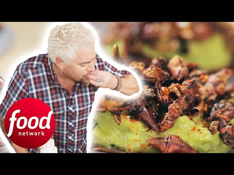 Guy Fieri Tries Roasted Spicy GRASSHOPPER Tacos! | Diners Drive-Ins & Dives