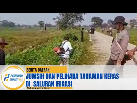 Jumsih dan Pelihara Tanaman Keras di Saluran Irigasi