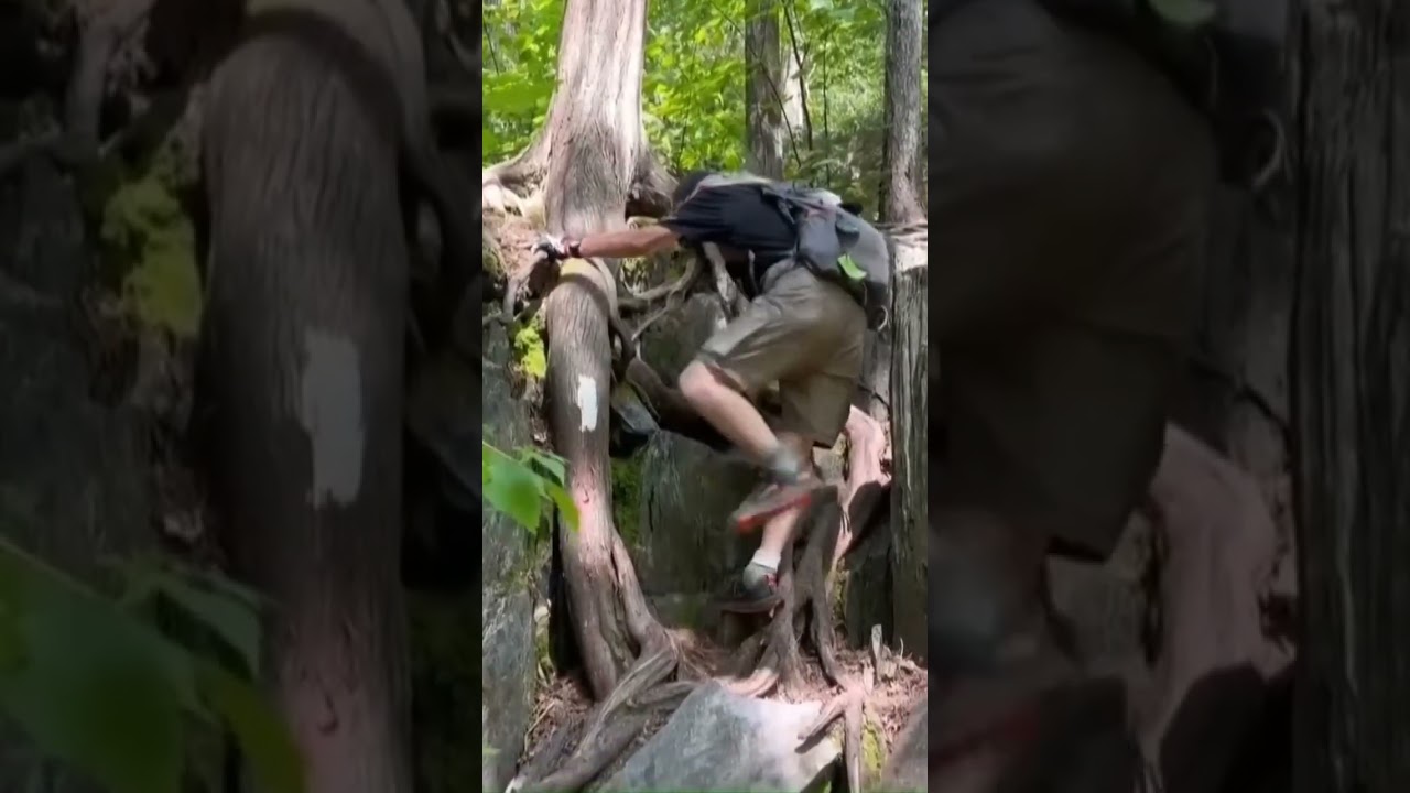 91-year-old completes Appalachian Trail thru-hike despite falling 71 times