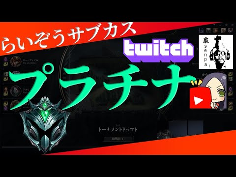 サブスクライバーカスタム解説【プラチナ部門】