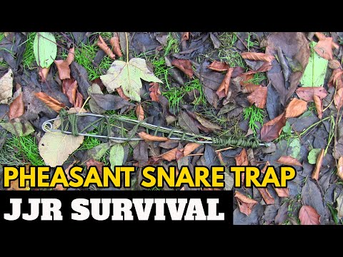 Pheasant Snare Trap
