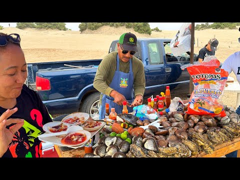 Almejas Vivas en la Playa | Callo de Hacha al Momento