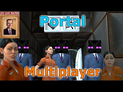 RE:【問題】Portal 2 PC版可否分割畫面？ @戰慄時空哈啦板- 巴哈姆特