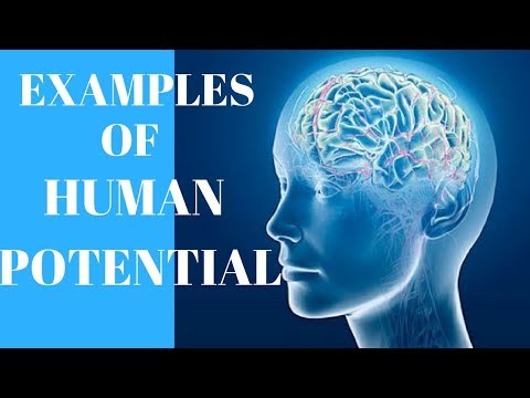 Examples Of Human Potential