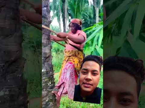 racha ni ta hau tareeka anty kadaa#shorts