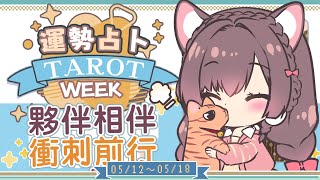 【一周運勢】結伴前行向前衝刺☆【塔羅占卜】【櫻野露】