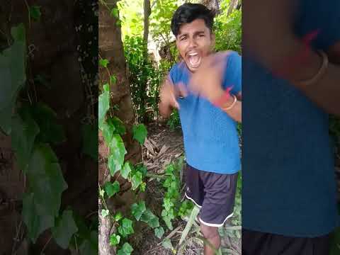 Bichare Garmi mein Jal gaye Most Viral Comedy Video | Abhay Bhadoriya#ytshorts#funny#shorts