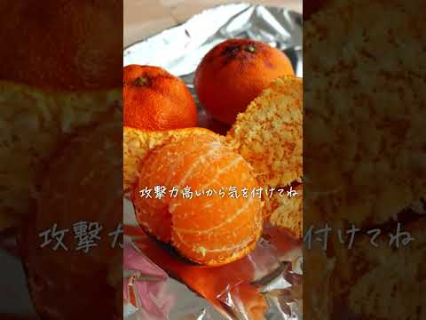 焼きミカン 　みかんがさらに甘くなる♪