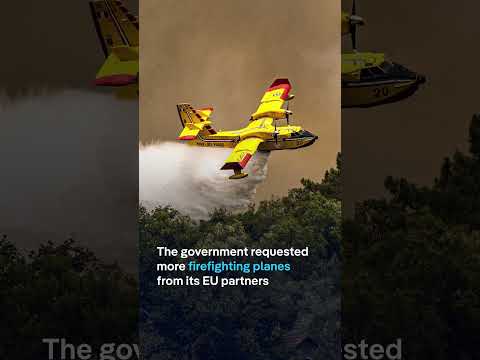 Wildfires in Portugal lead to evacuations and transport disruption | DW News