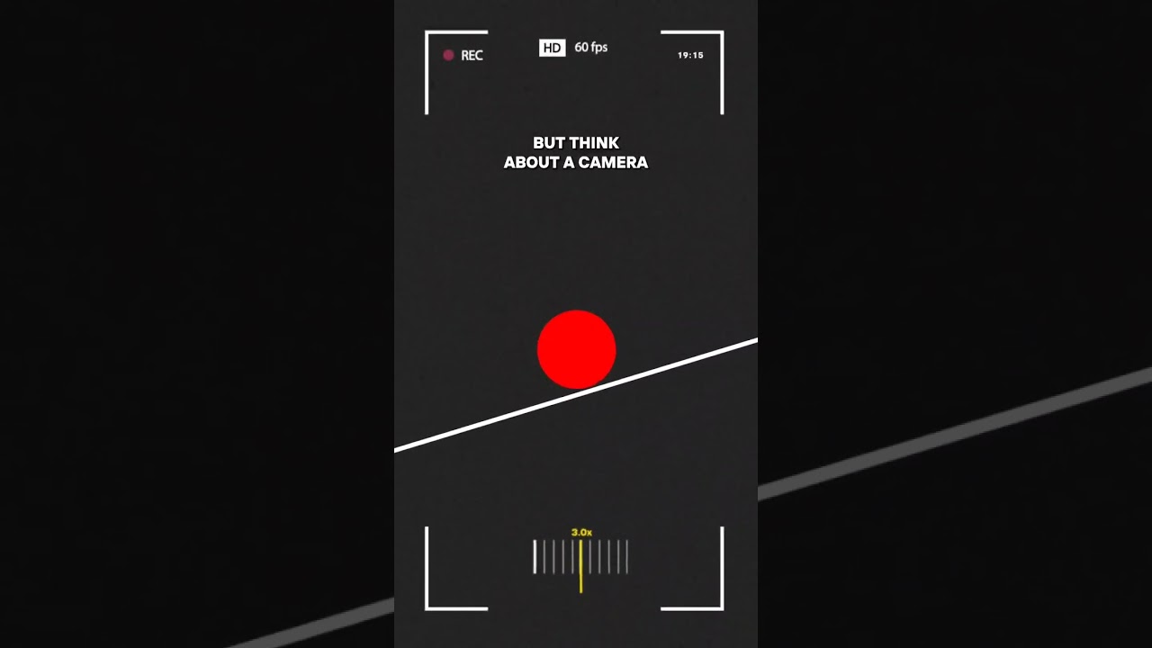 When we focus on one point in pickleball, we run the risk of missing the entire picture