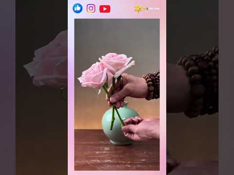 Mẹo cắm hoa hồng trang trí nhà cửa cùng OM'E Việt Nam