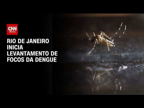 Rio de Janeiro inicia levantamento de focos da dengue | BASTIDORES CNN