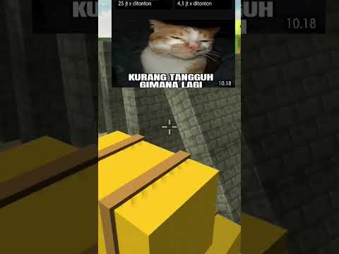 hamster jenius🤓🧢🧢