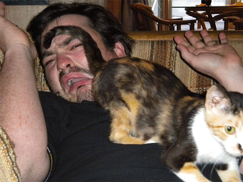 LAUGH hard & burn calories - The best CAT videos