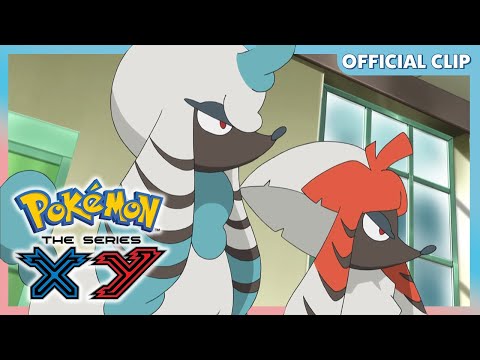 Pokemon TCG News