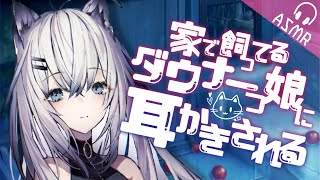 【ASMR/耳かきボイス】家で飼ってるダウナー娘に耳かきされる【EarCleaning/睡眠導入/男性向けシチュエーション/English 