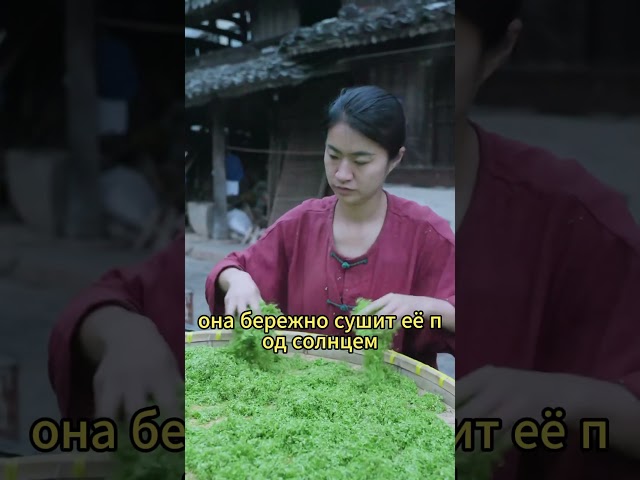 Did you know that duckweed can also make money?