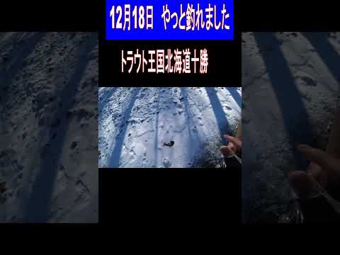 2024.12.18　今日はマイナス二桁　もうすぐクリスマス　トラウト王国北海道十勝冬のフライフィッシング　＃フライフィッシング