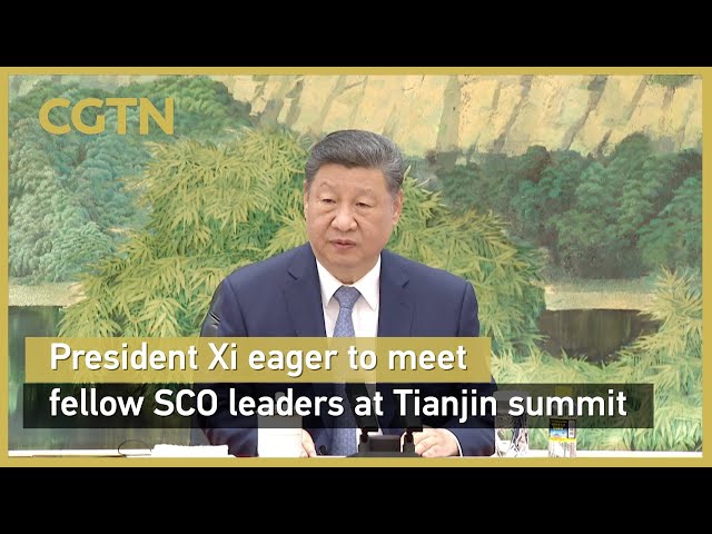 President Xi says looking forward to meeting fellow SCO leaders at Tianjin summit