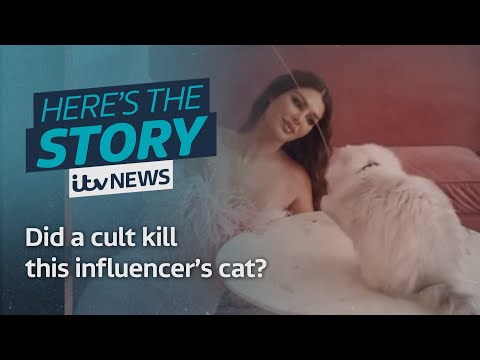 Did a cult kill this Italian influencer’s cat?