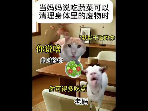 猫の動画サムネイル - 当妈妈说吃蔬菜可以清理废物时#有趣 #猫meme #猫meme剧场 #猫meme小剧场 #内容过于真实  #故事 #貓 #猫猫meme小剧场 #喵不可言