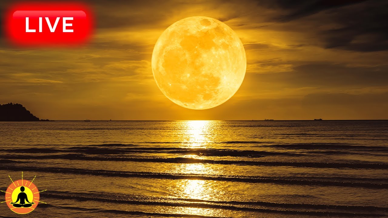 🔴 Relaxing Sleep Music 24/7, Calm Music, Yoga, Sleep Meditation, Spa, Study Music, Nature Sounds