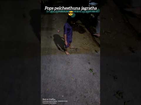 Diwali pops #song #trending #diwali