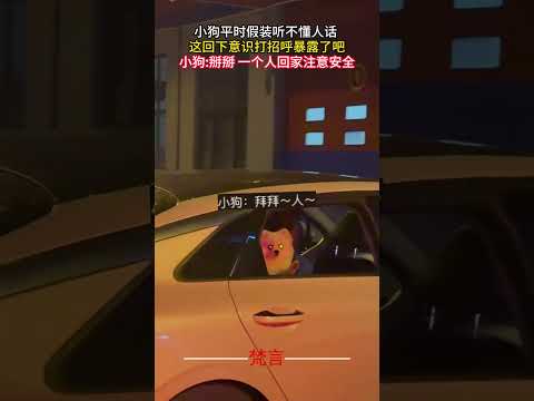 小狗平常假裝聽不懂人話 這回下意識打招呼暴露了吧 #狗狗 #可愛 #意外 #有趣 #萬萬沒想到 #amazing #dog #cute #funny #laugh #shorts サムネイル