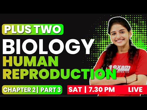 PLUS TWO BIOLOGY | CHAPTER 2 PART 3 | Human Reproduction | EXAM WINNER