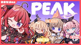 【 PEAK 】完全初見でも山登りくらいラクショー！助け合おうね💔【#新人VTuber￤芽々守あん】