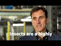 UK insect farm hatches plan for greener animal feed | REUTERS  - 02:07 min - News - Video