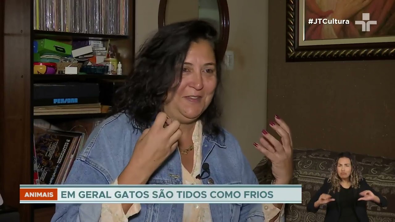 Pesquisadoras da USP lançam guia para interpretar sinais dos gatos de estimação
