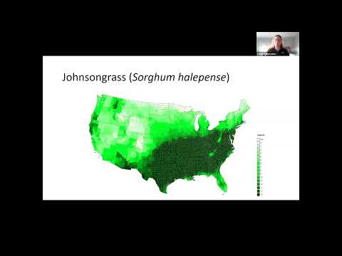 Pests and Climate Workshop - Caroline Marschner