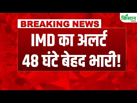 #breakingnews  Weather Update: एक और Western Disturbance आया, Rajasthan, UP, MP में Heavy Rain Alert