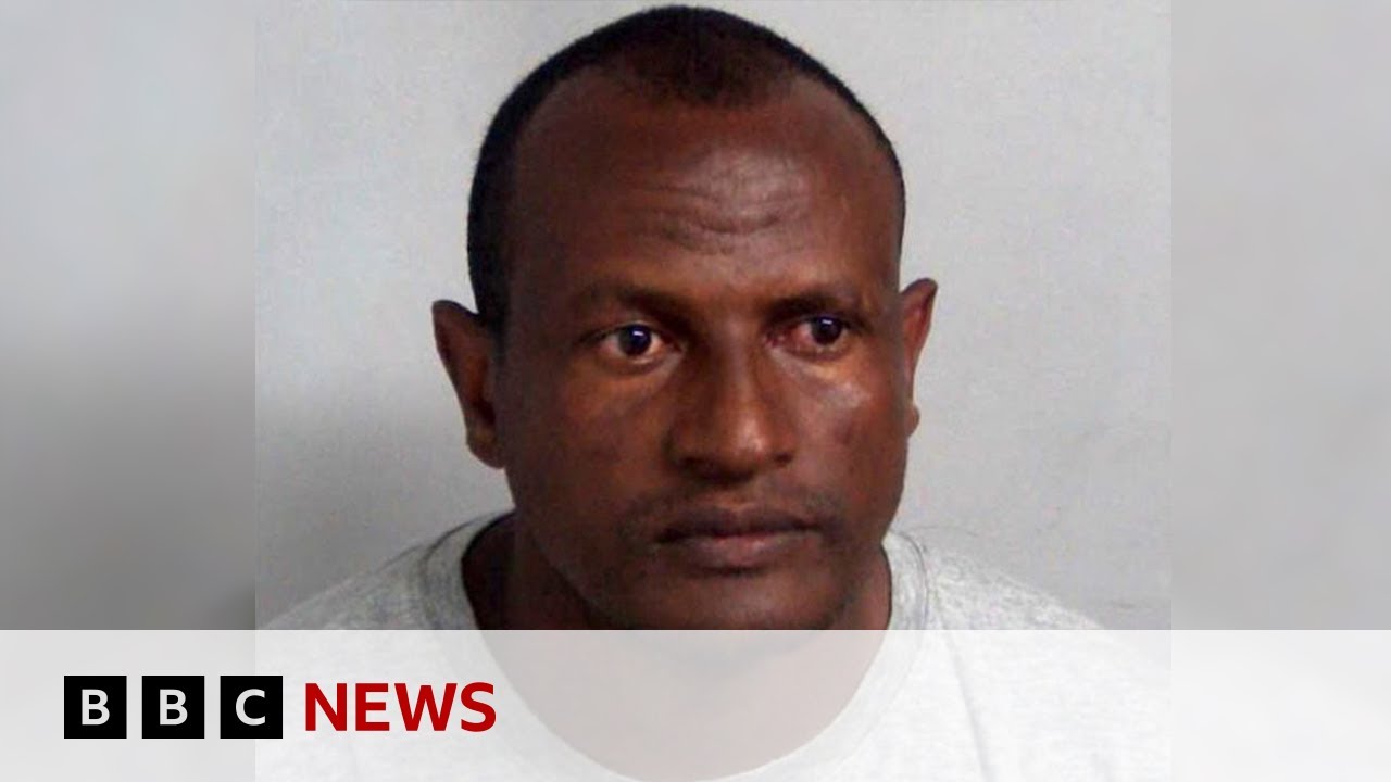 David Lammy tells UK MPs human error led to migrant sex offender release | BBC News