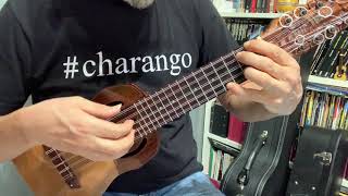 AMANKAY - Polvo -Aire de Zamba - (Pablo playing charango at home while quarantine)