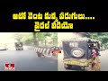 Dog chases auto for five kilometres, here is the reason