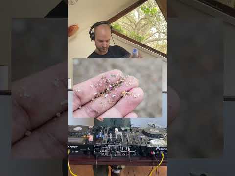 Studies show that the average DJ brain contains 30grams of micro-plastics (the same weight as a USB)