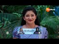 Nindu Noorella Saavasam | Ep - 243 | Best Scene | May 22 2024 | Zee Telugu