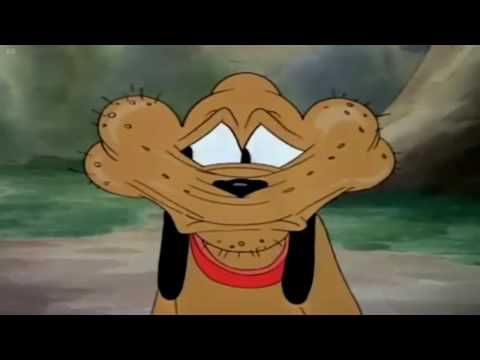 Donald's Dog Laundry'