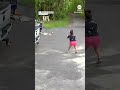 Bear chases dog down driveway  - 00:38 min - News - Video