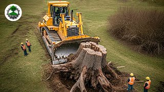 Jaw-Dropping Fastest Big Chainsaw Cutting Tree Machines | Monster Stump Removal Bulldozer #3