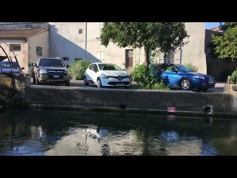 Video struttura