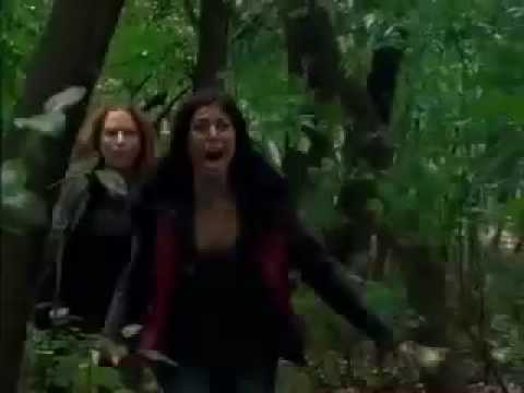 Swamp Devil'