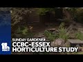 Sunday Gardener: CCBC-Essex has opportunities for students to do hands-on learning about plants