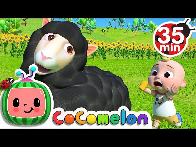 Baa Baa Black Sheep | +More Nursery Rhymes & Kids Songs - CoCoMelon